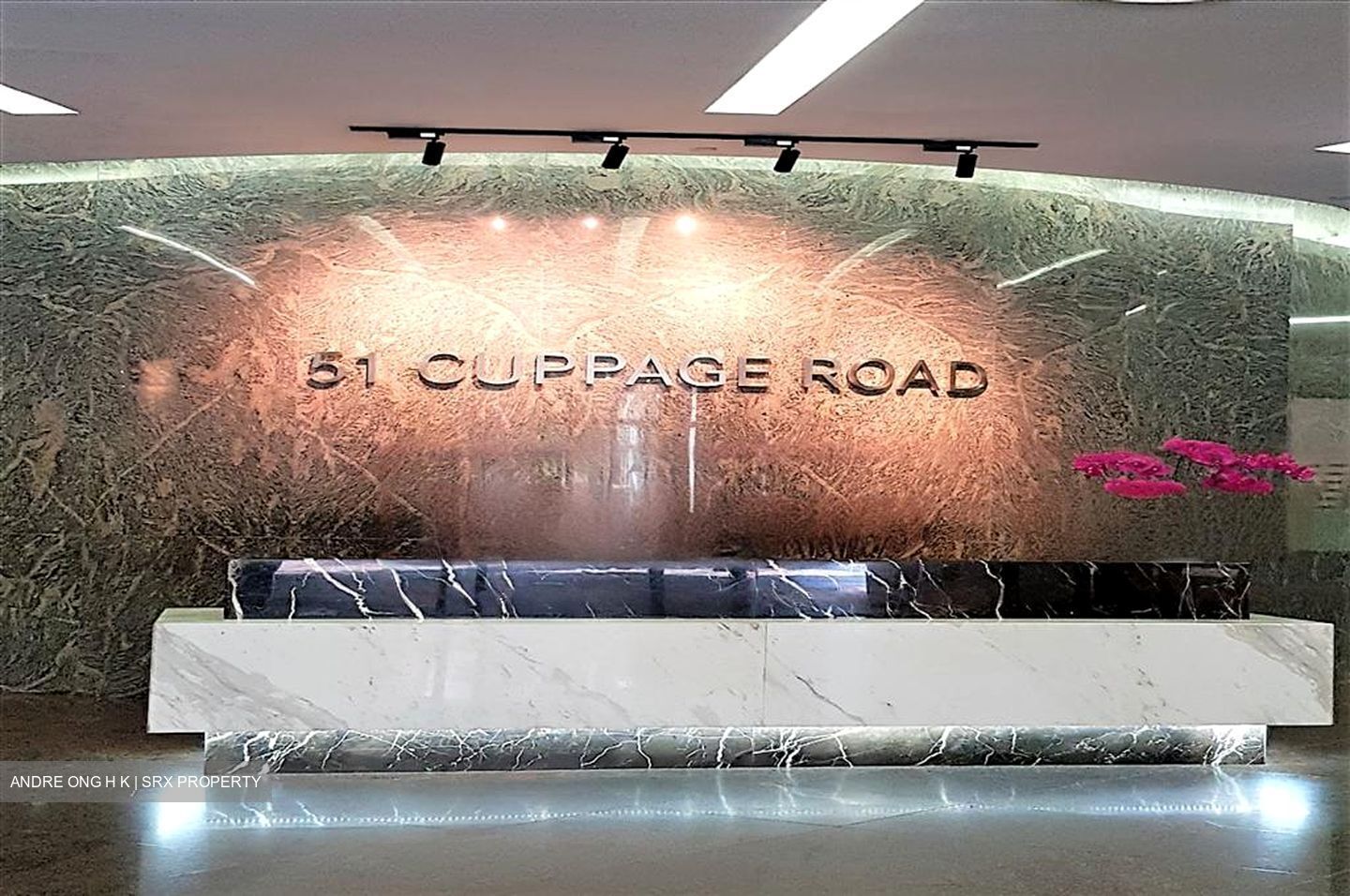51 Cuppage Road (D9), Office #451172721